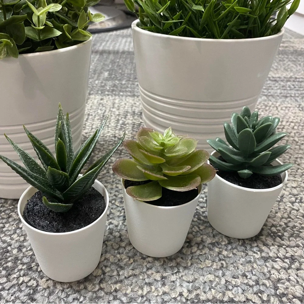 🪴3 PACK Succulent🪴 Artificial Potted Plant Succulent 3 Pack Home Decor Cactus